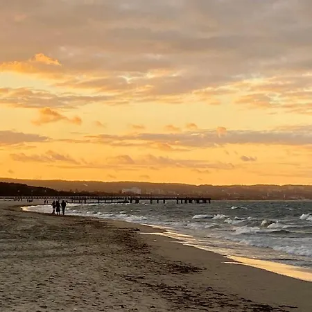 Daire Fale Brzezna *